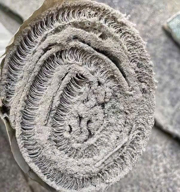 Bê tông vải cuộn